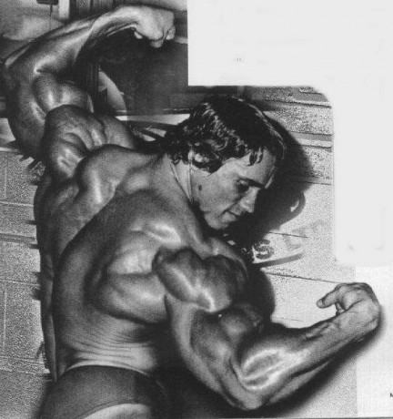 arnold5.jpg